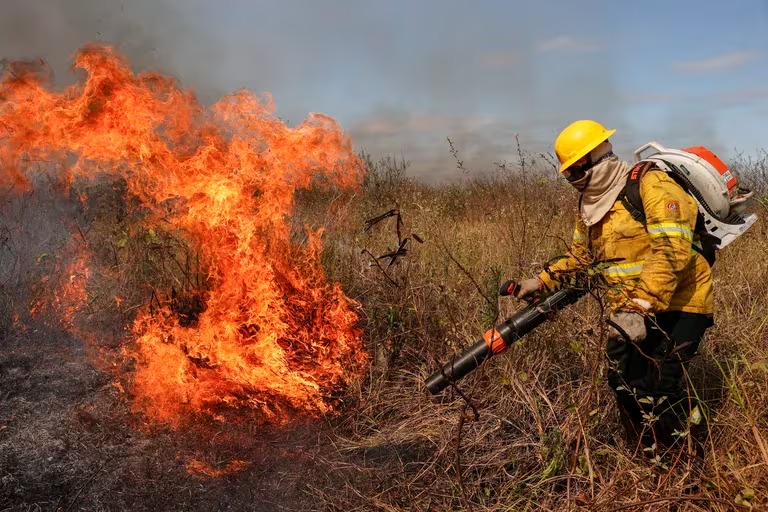 Incendios forestales en Brasil